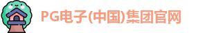 pg电子官方网站